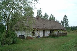 Poland Tokarnia - cottage