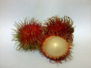 Rambutan in white bg