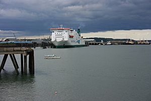 Rosslare ferry at Pembroke Dock - geograph.org.uk - 1369988