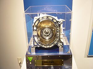 Rotary engine rotor