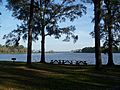 SR Beach Eden Gardens SP bayou01