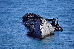 SS Palo Alto as of 23 June 2024
