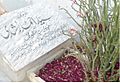 Singer Ahmed Rushdi's grave