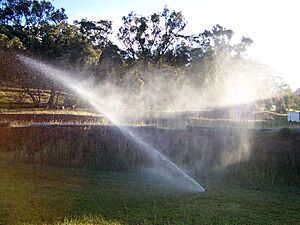 Sprinkler04