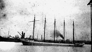 StateLibQld 1 147135 Malahat (ship)