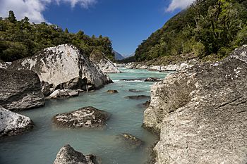 TWC Waitoto River• Stewart Nimmo • MRD 0901.jpg