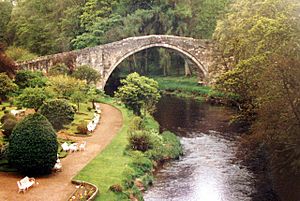 The Auld Brig O' Doon - geograph.org.uk - 44158