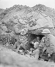 The Battle of the Somme, July-november 1916 Q4133