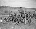 The Hundred Days Offensive, August-november 1918 Q7055