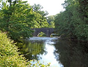The Ogmore River by New Inn Bridge - geograph.org.uk - 811440