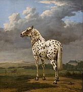 The Piebald Horse - Paulus Potter - Dutch, about 1650 - 1654