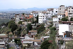 Tijuana Hill