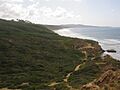 Torrey Pines State Reserve