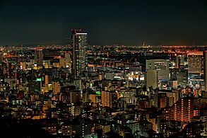 Views from Venus Bridge in Kobe 003
