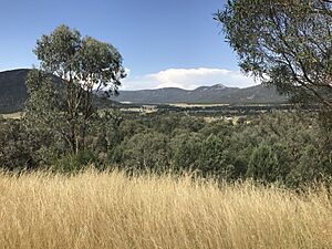 Vista of the Moonbie Range from Catherine Way, Daruka