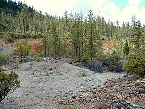 Waldo Mine 1 - Cave Junction Oregon