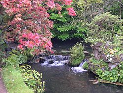 Waterfall, Japanese garden