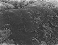 Wees Bar 2 - Guffey Butte-Black Butte Archaeological District Idaho