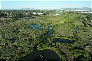 Wetlands in urban environments, Annandale wetlands, Townsville, 2022