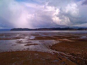 Willapa National Wildlife Refuge