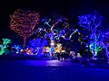 Zoolights