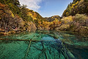 1 jiuzhaigou valley wu hua hai 2011b