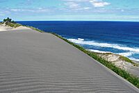 A177, Sigatoka Sand Dunes National Park, Viti Levu, Fiji, 2007.JPG
