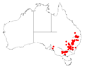 Acacia flexifoliaDistMap364