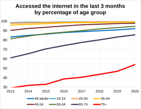 Accessed the internet in the last 3 months by percentage of age group