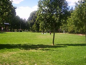 An open area in Glebe Park