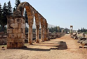 Anjar - Cardo vu du nord 2