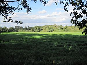 Arkley Lane pasture