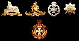 Badges of the Bermuda Regiment and related Regiments