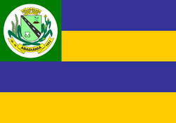 Bandeira de Abadiânia.jpg
