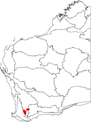 Banksia oligantha map