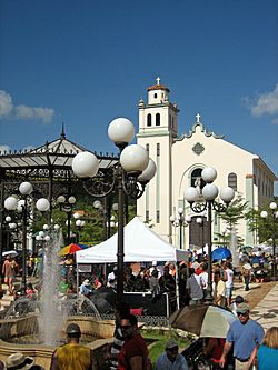 National Artisans Fair in Barranquita's plaza in 2008