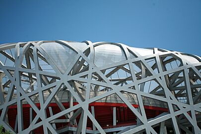 Beijing Birds Nest Closeup