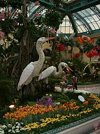 Bellagio Indoor Flower Garden