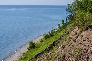 Bluff over Lake Michigan - Lion's Den Gorge Nature Preserve in Grafton Wisconsin