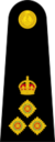 British Royal Marines OF-6.svg