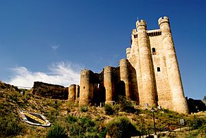 Castillo de Valencia de Don Juan [es]