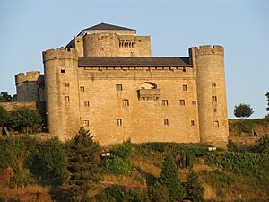 Castillopuebladesanabria