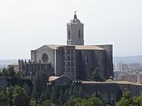 Catedral Girona from Montjuic