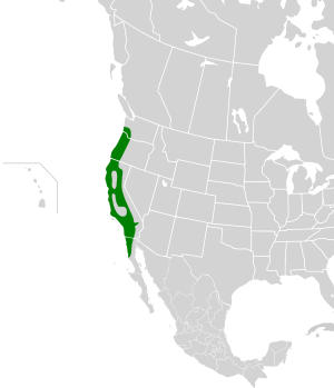 Chamaea fasciata map.svg