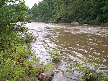 Cherry River West Virginia.jpg