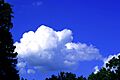 Clouds Blue Sky 001