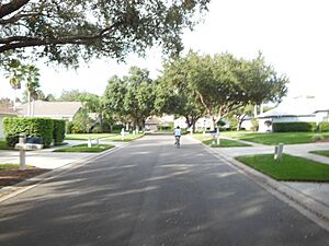 Cyclist in Valrico residential street