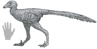 Daliansaurus reconstruction.png