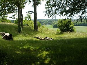 Darland Banks - geograph.org.uk - 1455053