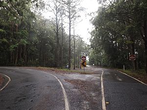 Divided Springbrook Road section, Springbrook, Queensland